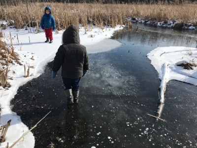 Lijah crossing a patch of clear ice by a stream