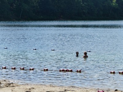 Harvey and Jack swimming in a near-empty Walden Pond