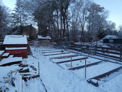 a coating of snow on the garden in the morning