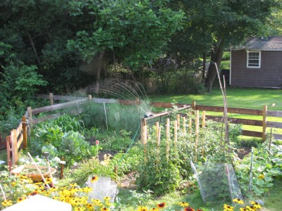 wide-angle view of the garden in July 2012