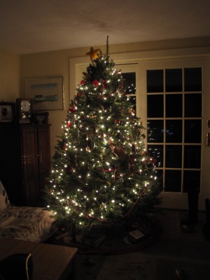 the decorated tree