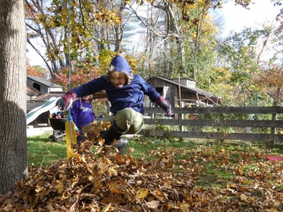 Zion jumping into a pile of leaves