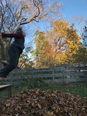 Harvey jumping off a table into a leaf pile