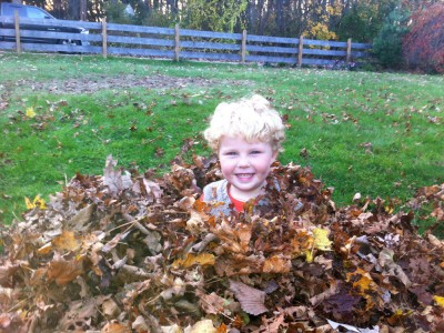 Harvey up to his neck in a leaf pile