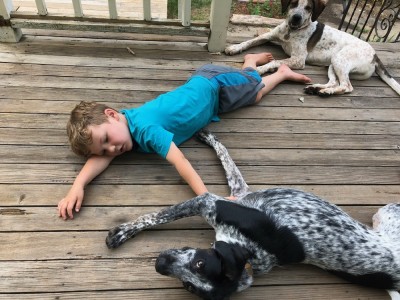 Lijah lying on the porch floor with the dogs