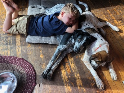 Lijah lying with the dogs on the kitchen floor