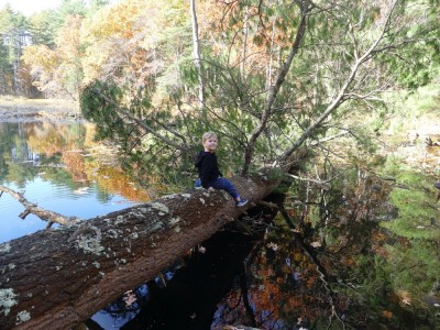 Lijah sitting on a fallen white pine way out in a pond