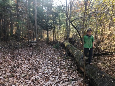 Elijah walking on a log in the woods