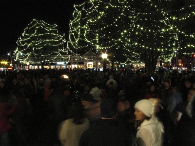 the crowd around the illuminated trees on the common