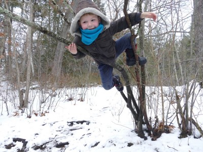 Elijah climbing in a tiny tree