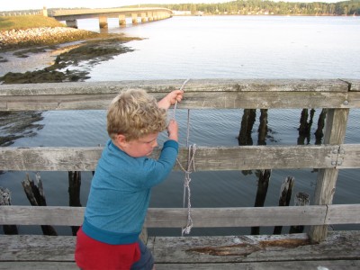 Harvey hauling a rope--connected to a lobster pot--over the railing of the pier