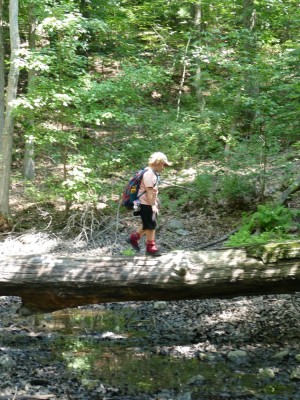 Harvey walking across a big log over a dried-up pond