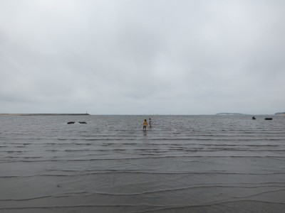 Zion and Elijah wading way out in shallow water in Welfeet Harbor