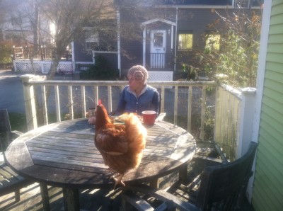 Leah eating lunch outside, a chicken on the table