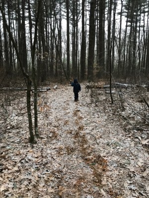 walking in the woods in the March snowfall