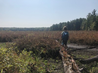 Elijah walking on a log in a big open marsh