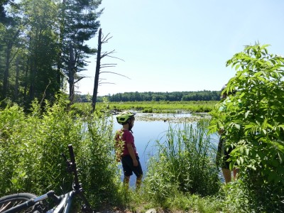 Elijah looking at a watery marsh on a bike ride stop