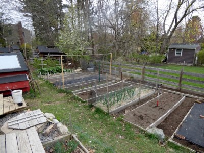 the garden mostly empty, but with beds prepped