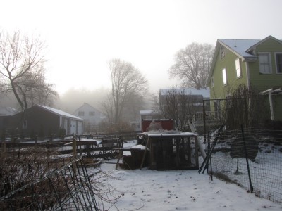 the chicken coop and house through the icy morning mist