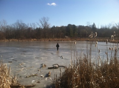 Zion on the ice of another pond