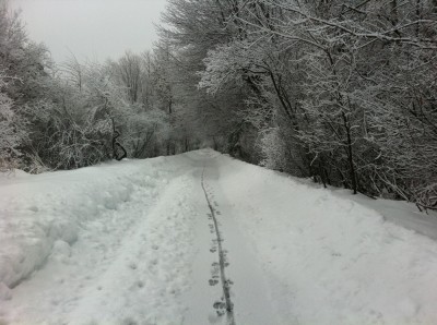 the snowy bike path again
