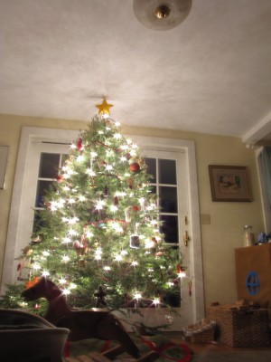 the Christmas tree lit up before sunrise