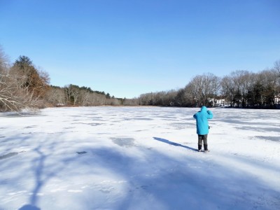 Harvey on the wide ice where Nashoba Brook ponds above Concord Rd