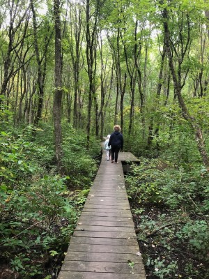 Harvey and Elijah walking on a boardwalk through the woods