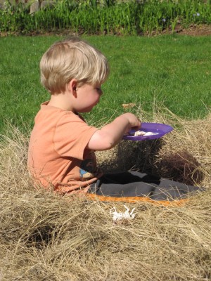 Zion sitting in a pile of marsh hay with a bowl