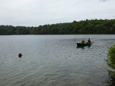 Harvey in the water at Walden Pond, Zion and Nisia paddling the canoe