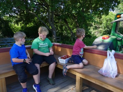 the boys on the tractor wagon for the return trip, with strawberries