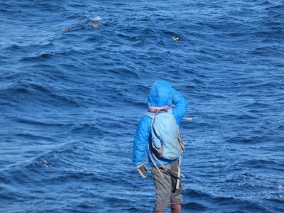 Elijah, in blue coat and backpack, looking out over the blue ocean
