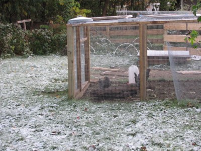 a trace of snow on the grass around the chicken run