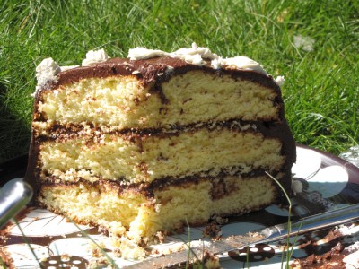 about a third of yesterday's cake, on a plate on the grass