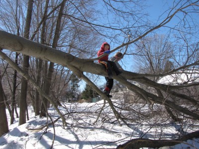 the boys perched on a tree fallen across the snowy bike path