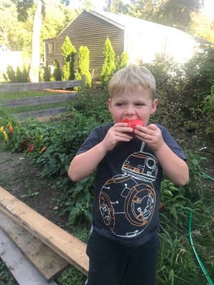 Zion biting a pepper in the garden