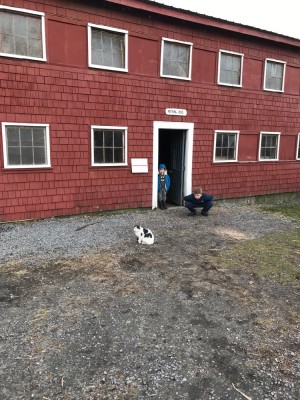 Harvey and Zion trying to pet a cat by the Chip-In Farm barn