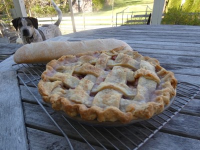 a rhubarb pie (and a bread) on our back porch table, watched over by Scout