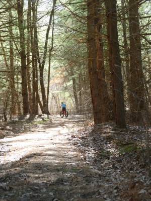 Elijah riding up doubletrack through a sunny pine woods