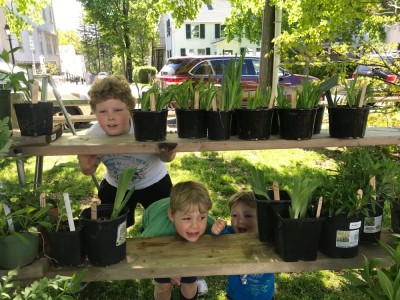 the boys sticking their heads on the shelves of plants at the plant sale
