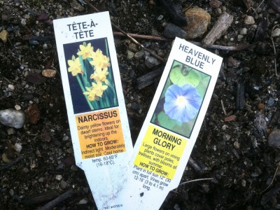 plastic plant tags