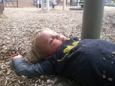 Zion sleeping in the woodchips under the play structure