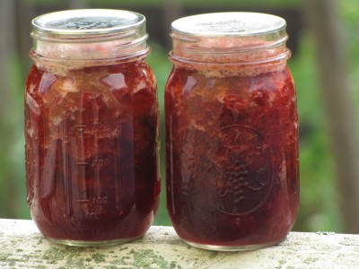 two pint jars of strawberry jam posed on the porch railing