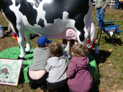 the boys and a friend milking a life-size plastic cow