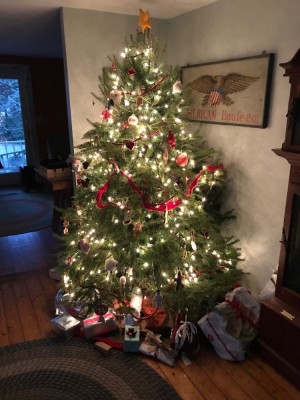our tree on Christmas morning