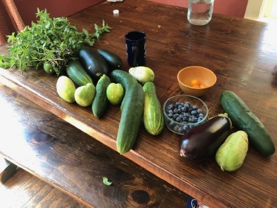 veggies, mint, and blueberries on the kitchen table