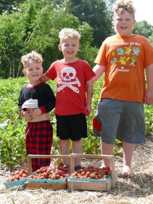 the boys standing in front of their strawberries