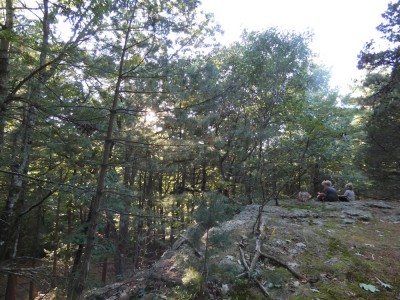 the boys sitting on a rocky outcrop in the woods