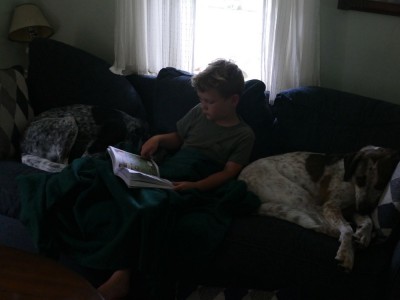 Elijah looking at a book on the couch between the two dogs