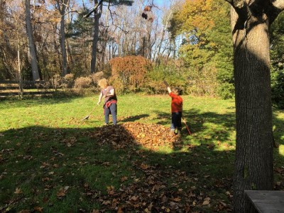 Harvey and Zion raking leaves in the yard
